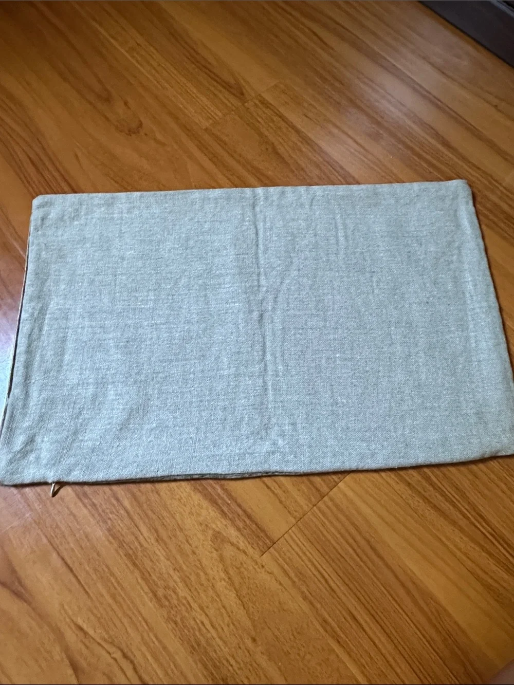 Williams Sonoma Velvet Pillow Cover 14x22